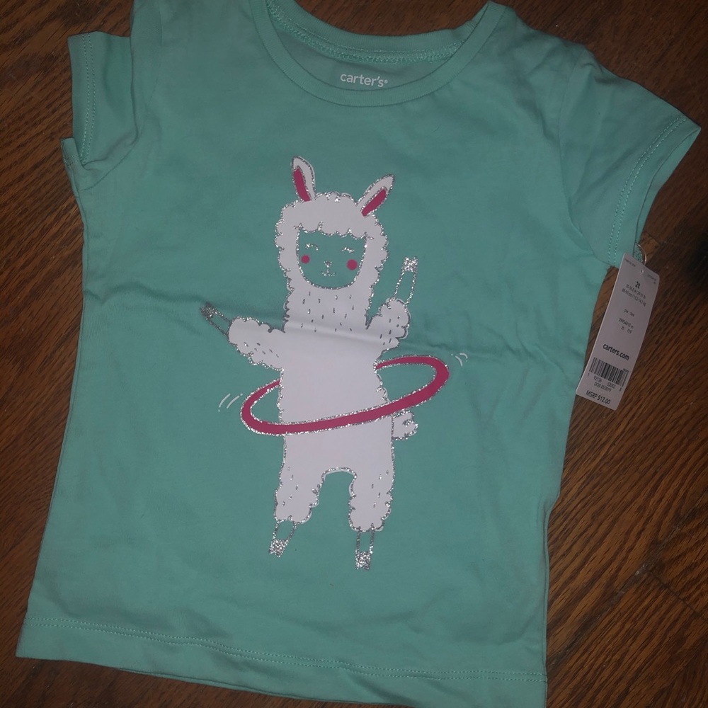Carter’s shirt ✨